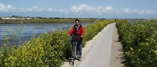 Groin à travers marais et plages