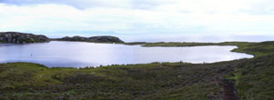 lac o'milligan