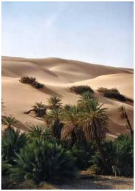 dunes de sable