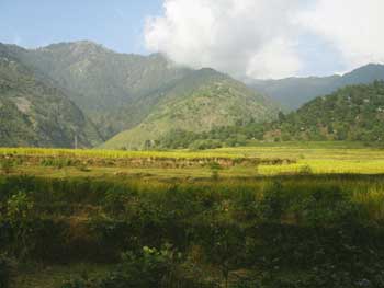 Paysage de montagne