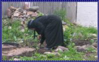 Une dame faisant son jardin