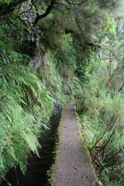 Chemin de la Levada