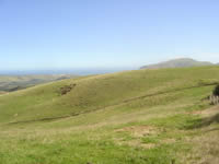 Northland