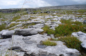 Région du Burren