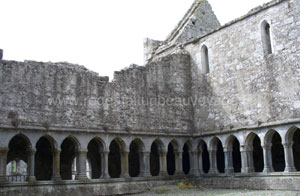 Abbaye d'Askeaton