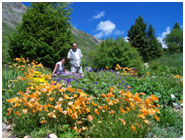 Jardin Botanique Alpin