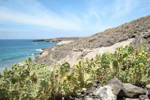 Plage près de Puertito (Tenerife)