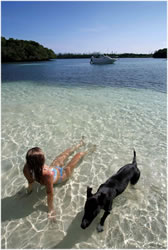 Jeune femme sur la plage avec son chien