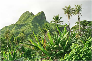 île volcanique de Hiva Oa