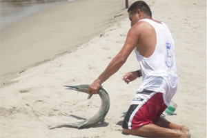 Pêcheur de Chacahua