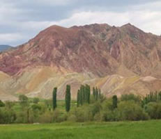 Paysage