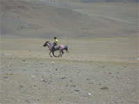 Naadam