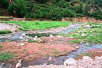 le long de l’oued de l’Ourika