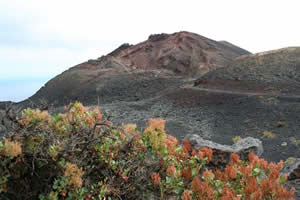 Volcan Teneguia (La Palma) - Le cratère