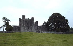 Bective Abbey