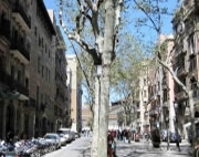 Le Passeig del Born