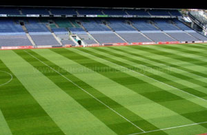 Croke park