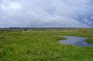 Région du Burren