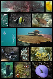 Palau Perhentian Kecil