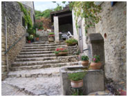 Vaison-la-Romaine