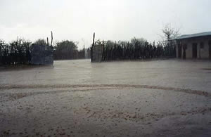 Turmi sous la pluie