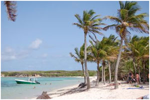 snorkelling petite terre