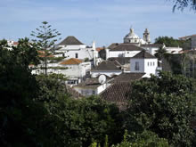 Tariva