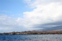 Cônes volcaniques à Punta Cristobal - Isabela