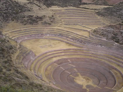 Les terrasses de Moray