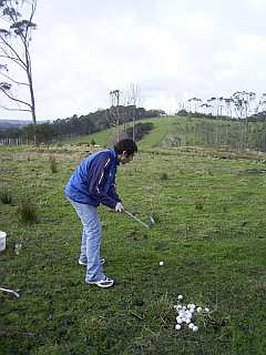 Golf