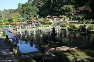 Water Garden