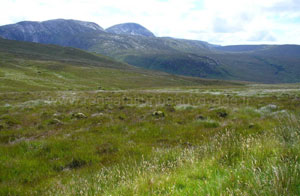 Au pied du mont errigal