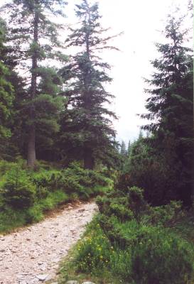 Petit sentier