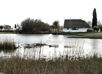 Parc ornithologique du Pont-de- Gau