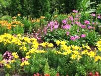 Une roseraie au jardin du palais de Rundale