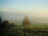 Vue de la fenêtre