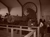Visite du musée