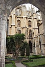 Cathédrale Saint Just et Saint Pasteur