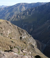 Canyon de Colca - Cruz del Condor