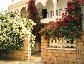 Une maison fleurie