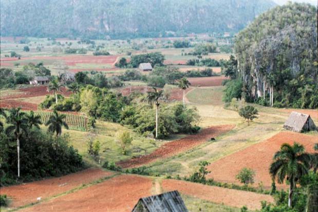 Panorama de la vallé de Vinales