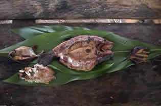 repas de poisson à bois tombé