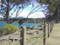 Lac de Taupo