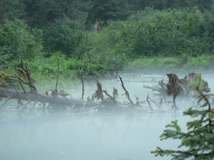 Paysage