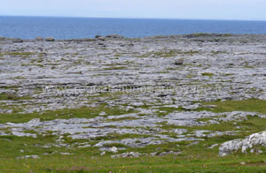 Région du Burren