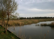 Parc ornithologique du Pont-de- Gau