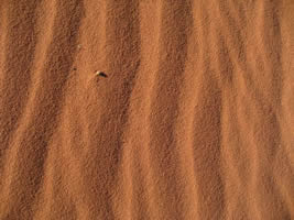 ondulations de sable