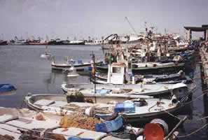 Amarrages de bateaux de pêche