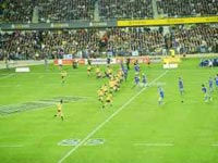 Stade