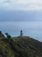 Cap Reinga